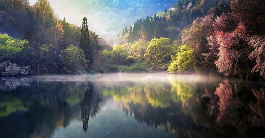 fall photography light and color