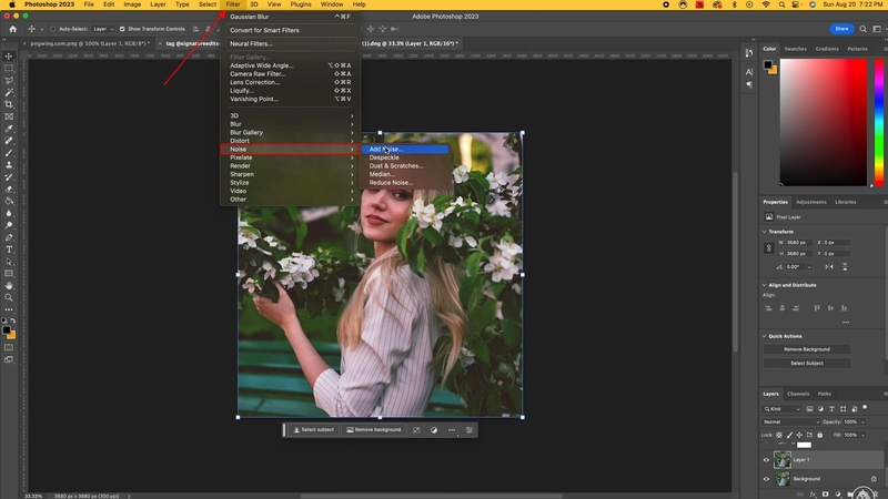 노이즈 추가 및 미리보기 후 저장