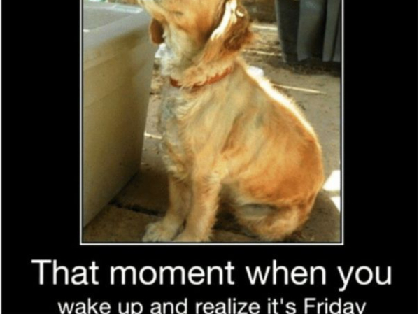 finally friday meme