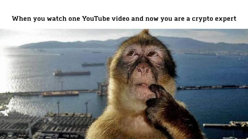 thinking monkey meme different caption example
