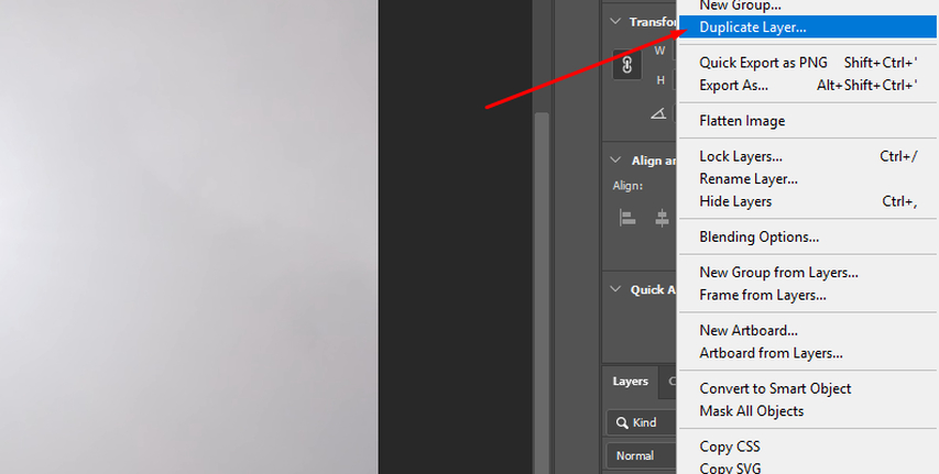 open photo in photoshop and duplicate background layer