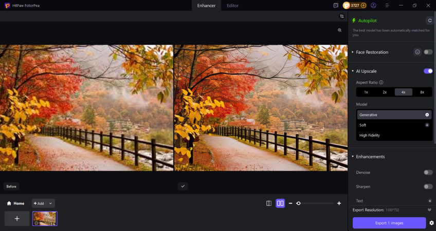 preview and download the photo