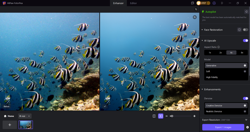 preview and download the photo