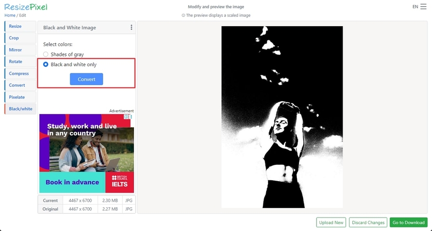 black and white with resize pixel