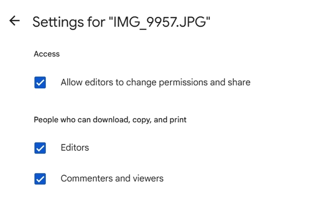 permissions settings on download print copy