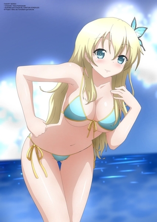 sena kashiwazaki in bikini