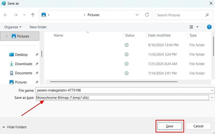 set monochrome type in paint