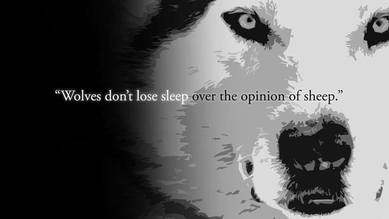 motivational sigma male wallpaper with powerful quotes