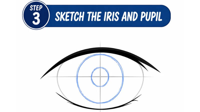 anime eye sketch with large iris and centered pupil