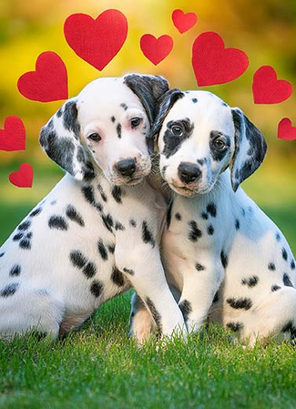 valentines card dogs