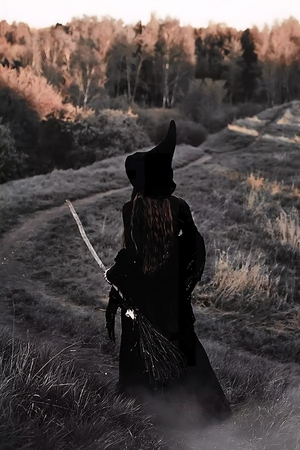 witch hat broom photos ideas