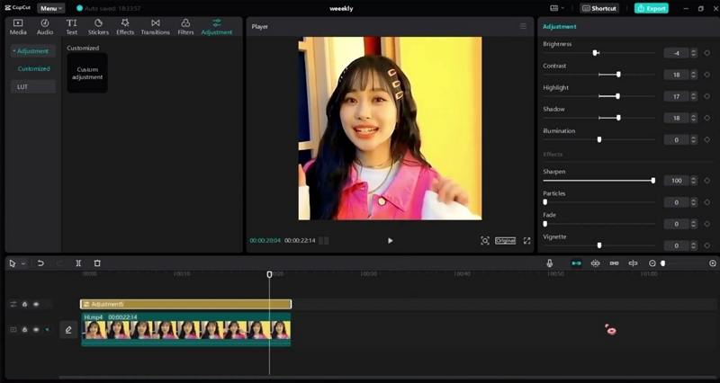 adjust basic settings on capcut