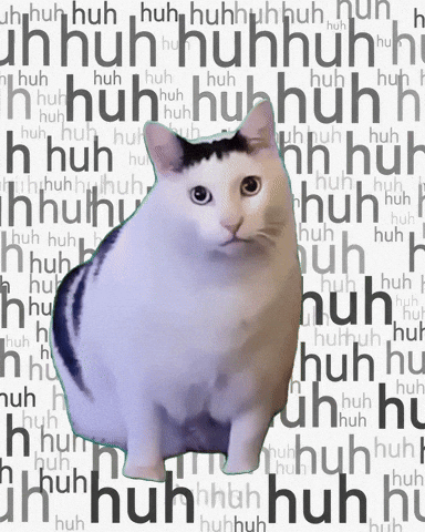 berühmtes Huh Katze Gif