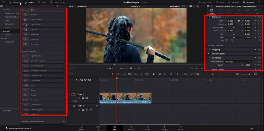 DaVinci Resolve overview