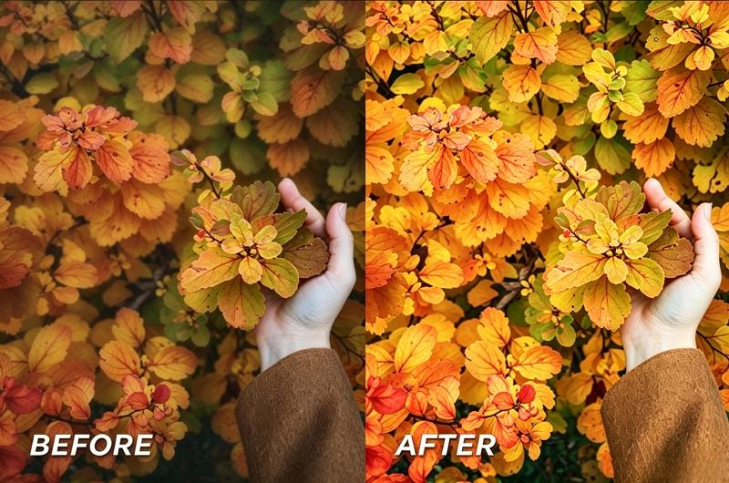 enhance fall foliage videos