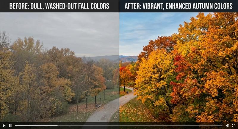 fix dull fall colors in videos