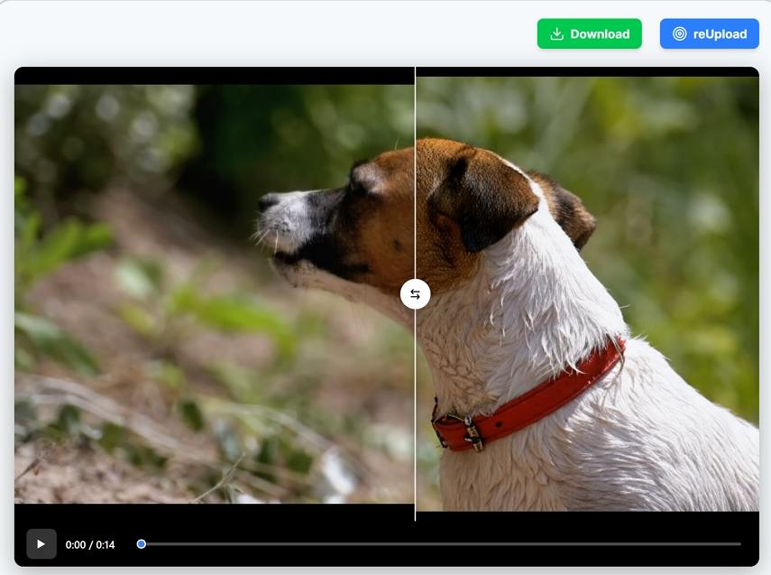 imgupscaler ai video enhancer preview