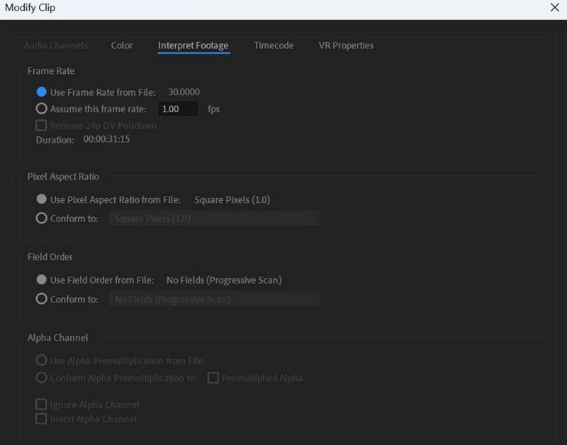 modify clip dialog box in premiere pro