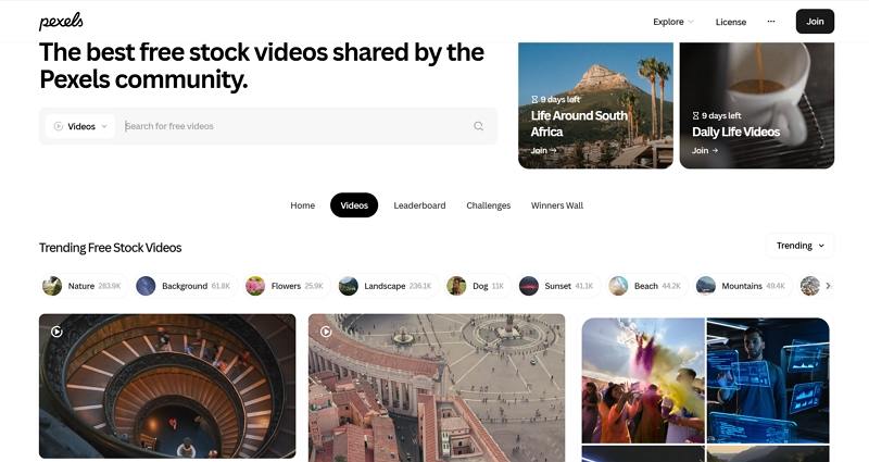 pexels free stock videos