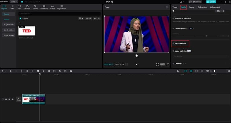 remove audio noise capcut