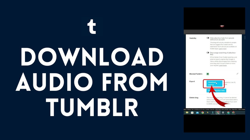 [9 Ways] Download Audio From Tumblr 2024