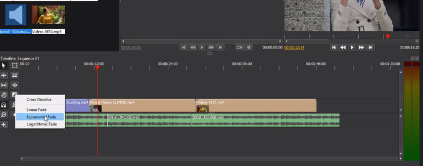 is-olive-video-editor-free