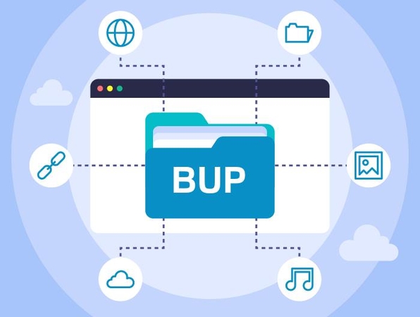 bup files