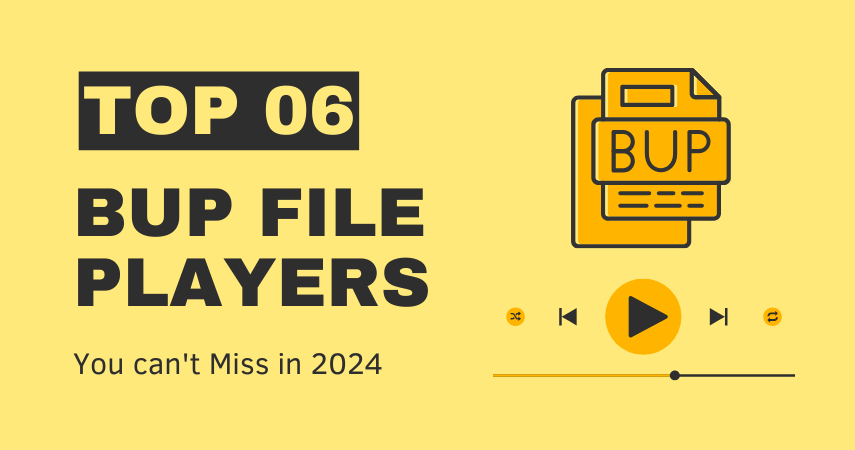 Top 6 BUP File Players You Can't Miss in 2024