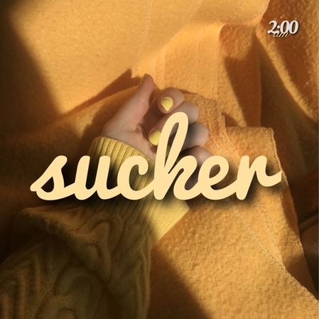 Sucker