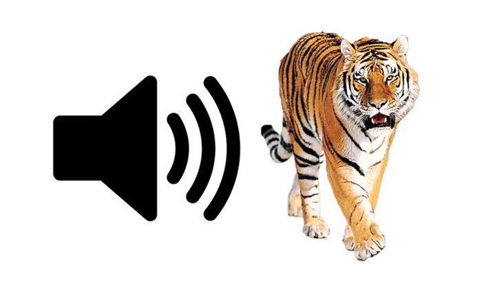 (Updated!) BEST 6 Ways to Get Tiger Sounds in 2024