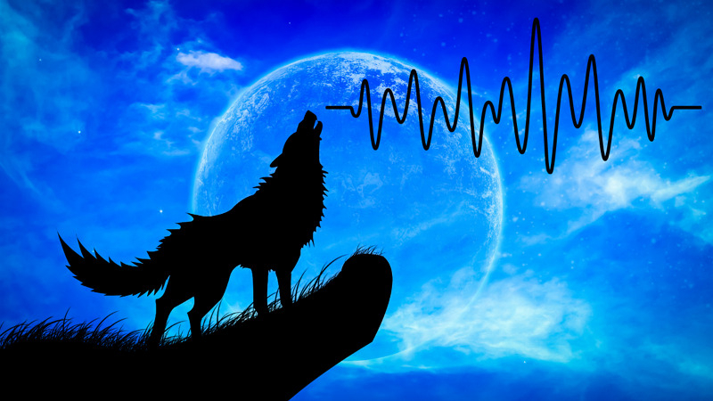 [2025 Updated] BEST 6 Ways to Get Wolf Sounds (FREE Included)