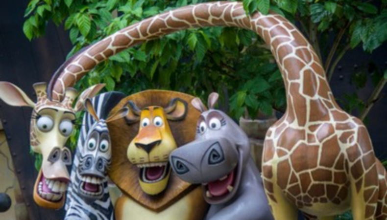 Travel Diaries: Things about Melman Madagascar