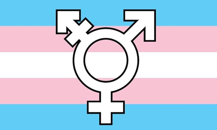 Meilleur 3 changeur de voix pour les personnes transgenres PC et mobile