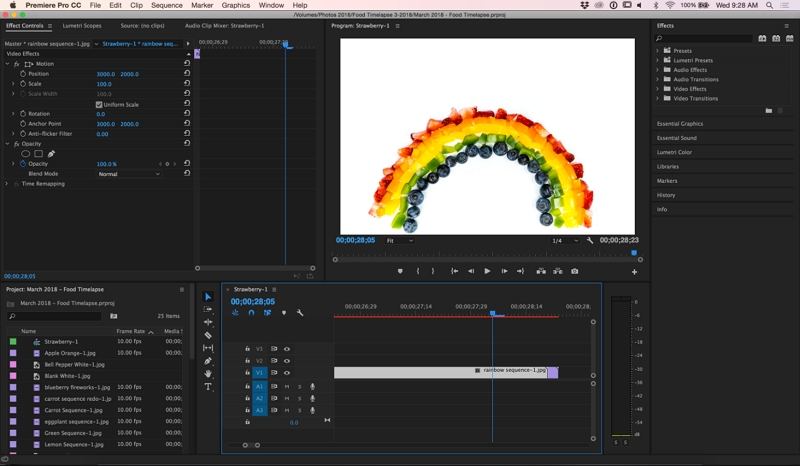adobe premiere pro stop motion animation