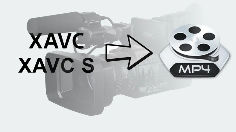 The Ultimate Guide of XAVC to MP4
