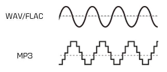 FLAC 與 MP3：給初學者的終極指南