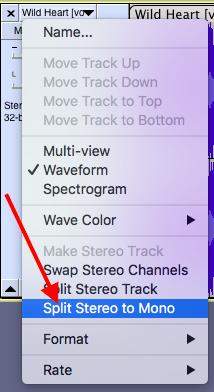 remove vocals from a song