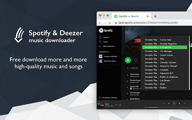 Beste Spotify & Deezer Music Downloader-Alternativen