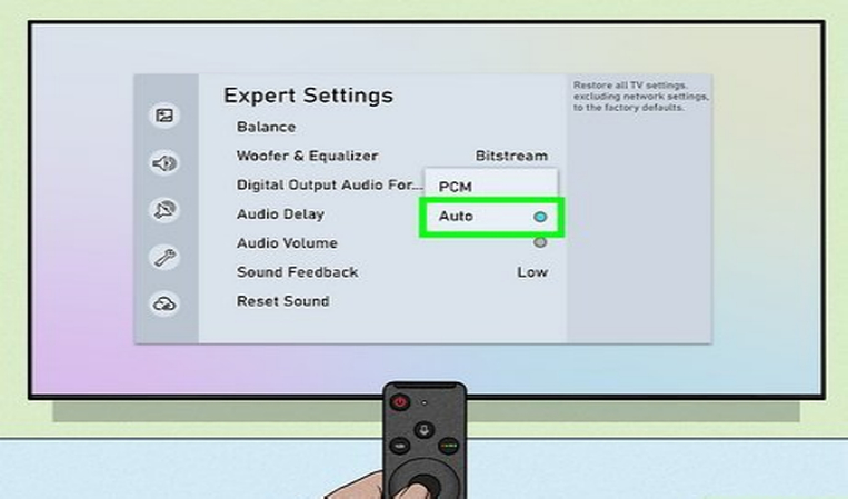adjust the audio delay settings