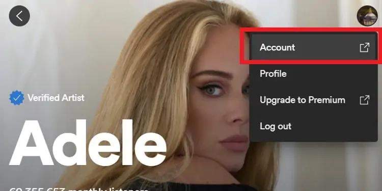 spotify keeps pausing pc