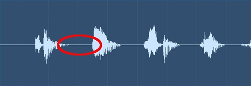 zoom audio