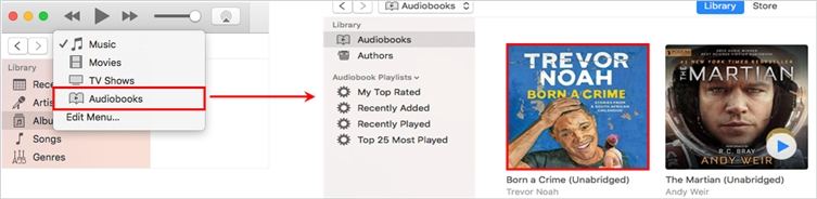 how to download audible books to mac