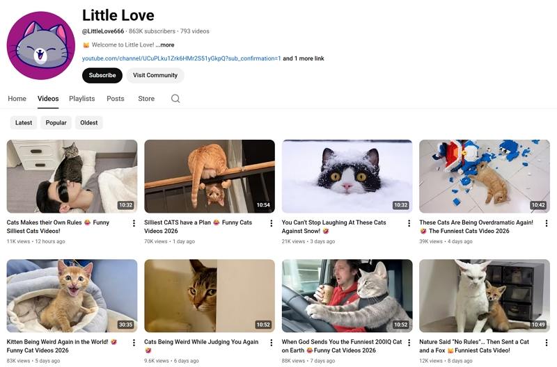 cat videos for kids youtube