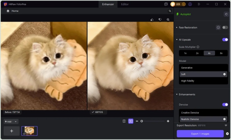 export enhanced cat images