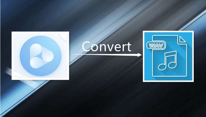 The Ultimate Guide of Video to WAV Converter