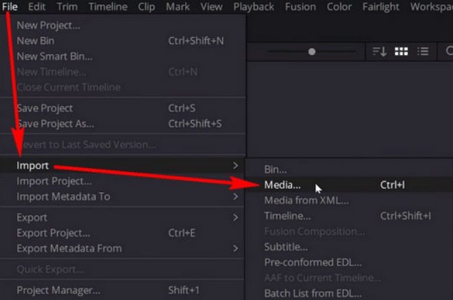 braw to mp4 converter