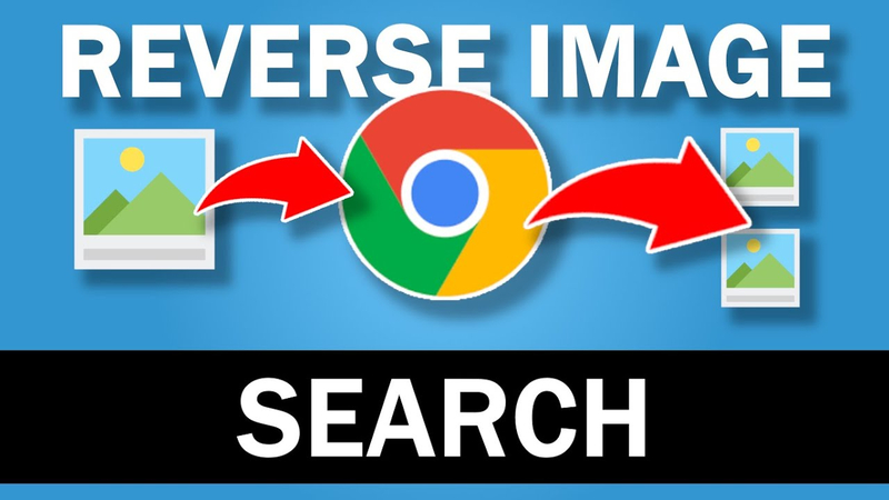 WebM Reverse Search | Your Ultimate Guide