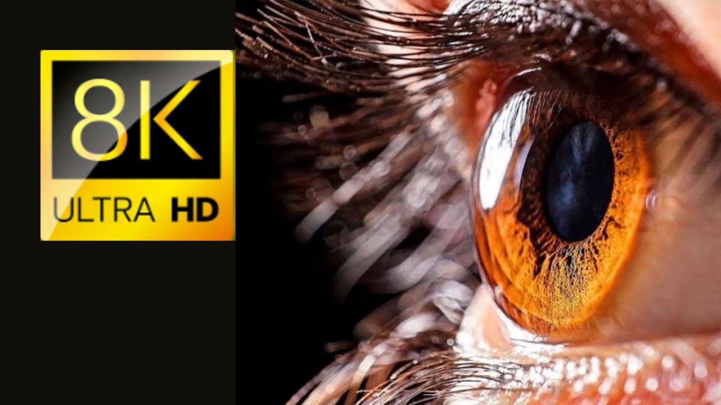 Experience the Next Level: Download Stunning 8K Videos