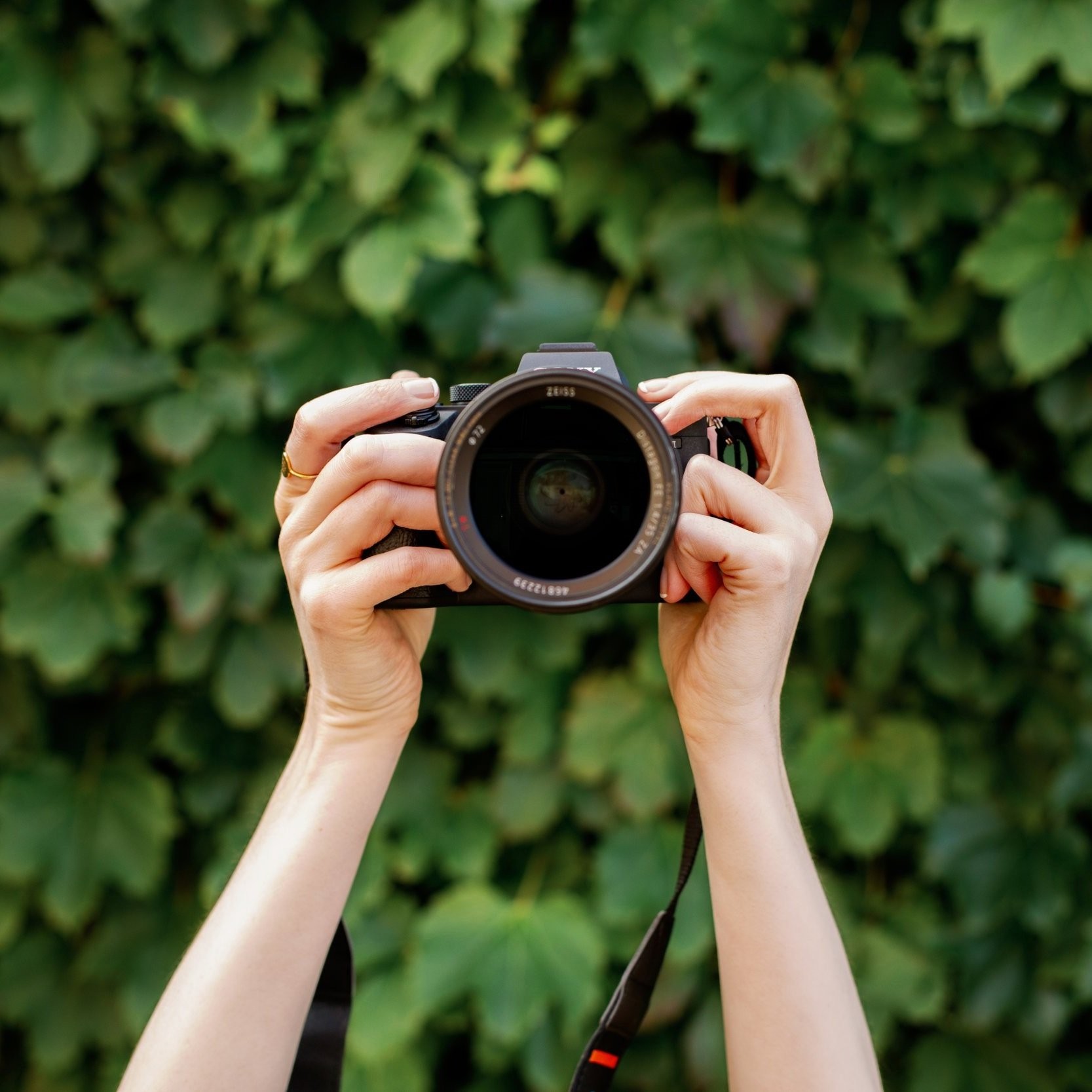 A Comprehensive Guide to Becoming a Photographer Without a Degree