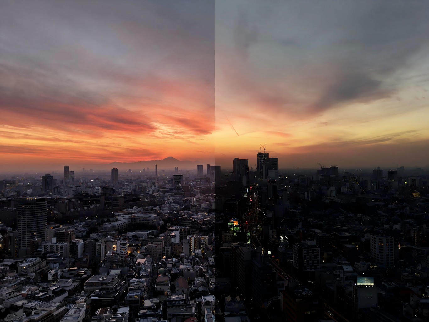 Understanding the Differences Between AI Photos vs Real Photos